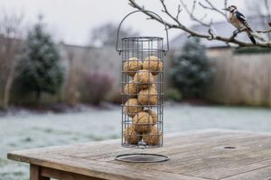 Best Suet Ball Feeder for Woodpeckers in Your UK Winter Garden