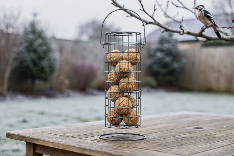 Wooden suet ball feeder cage mounted on a garden fence post with suet balls visible inside.